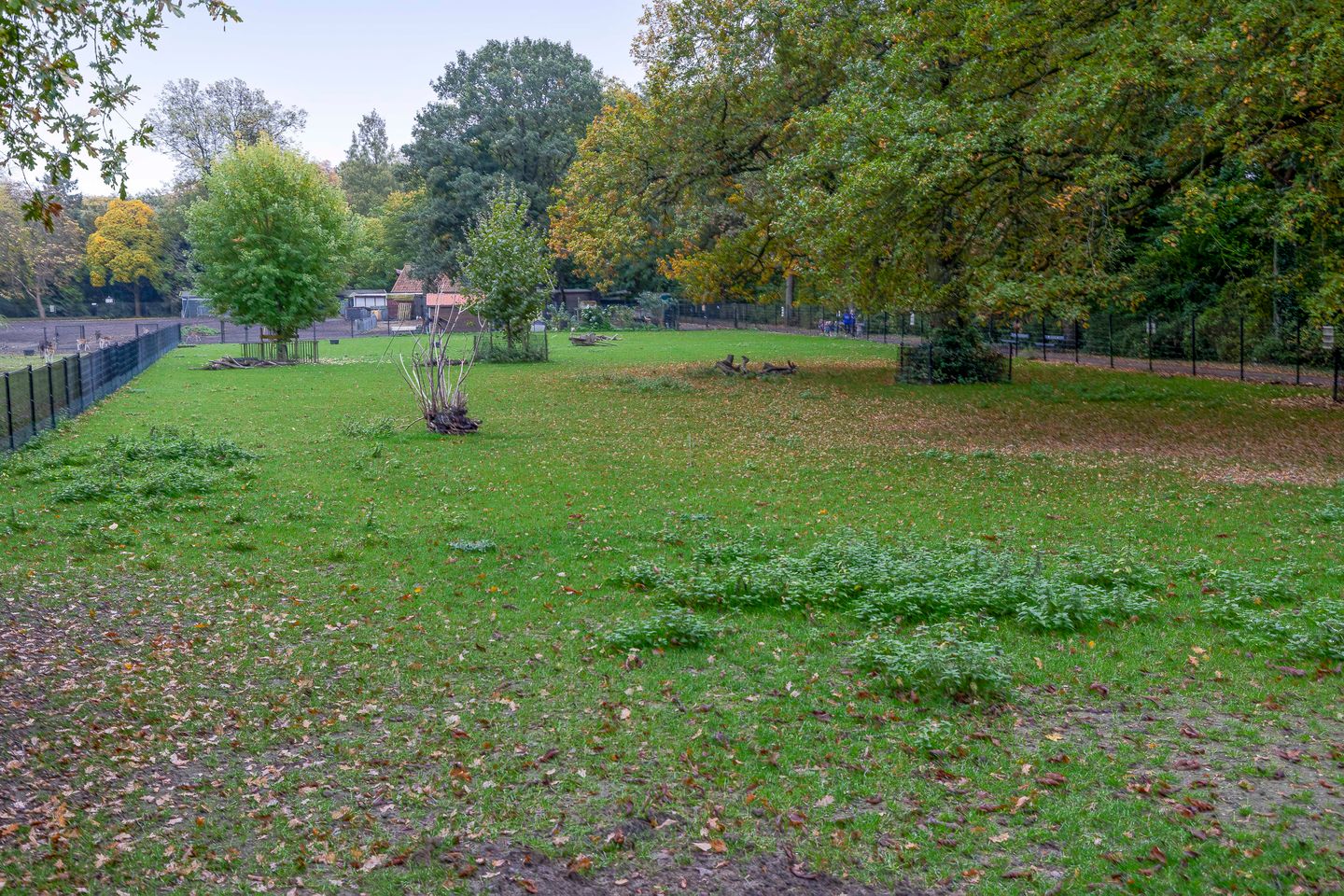 Photo 49 of Arnoldus Rotterdamstraat 15