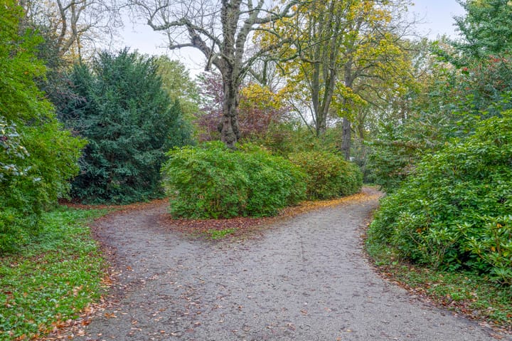 Foto 51 van Arnoldus Rotterdamstraat 15