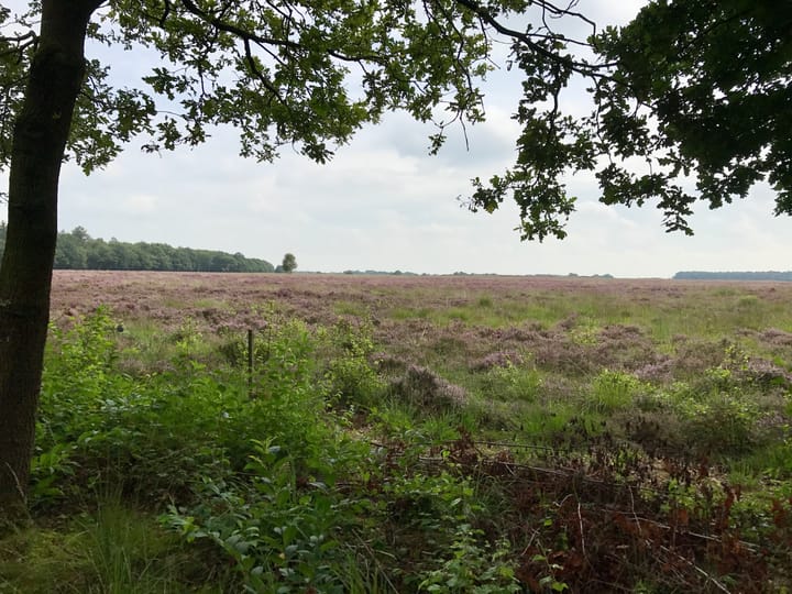 Foto 8 van Lange Akker (Bouwnr. 9)