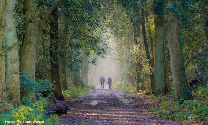 Foto 10 van Lange Akker (Bouwnr. 9)