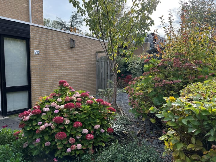 Photo 40 of Tulpentuin 90