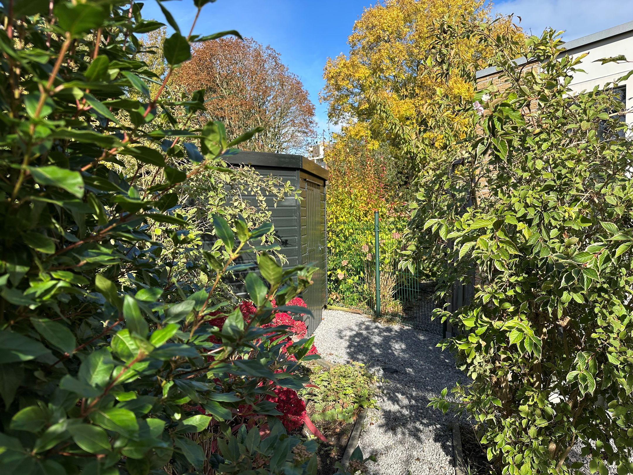 Foto 42 van Tulpentuin 90