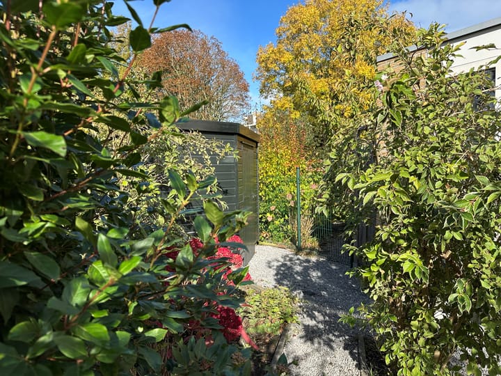 Photo 42 of Tulpentuin 90