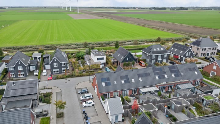 Photo 39 of De Stijl 2