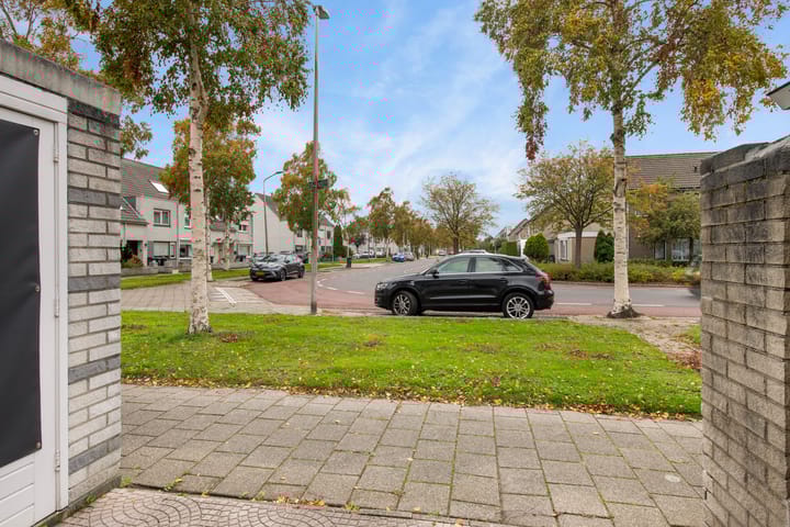 Foto 39 van Koggenland 306