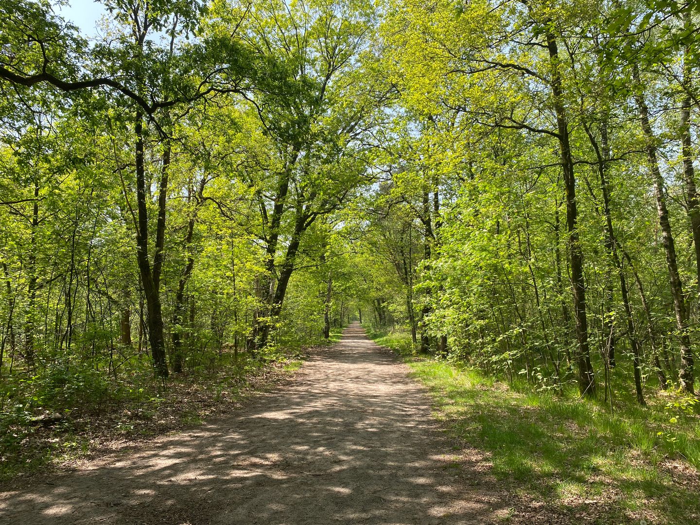 Foto 40 van Johan Frisolaan 49