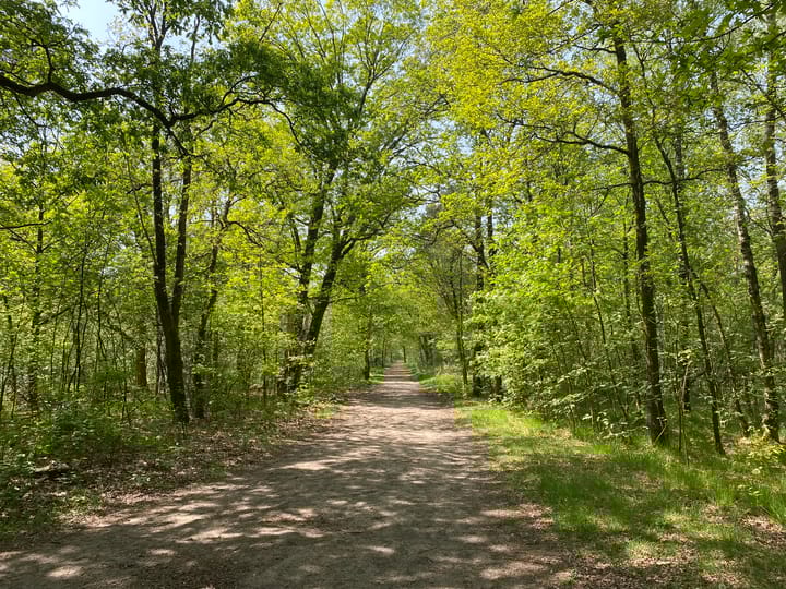 Photo 40 of Johan Frisolaan 49