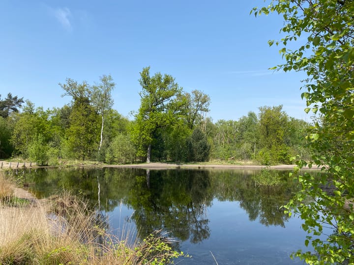 Photo 41 of Johan Frisolaan 49