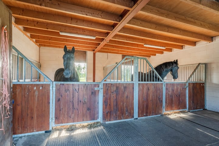 Foto 60 van Oud-Bodegraafseweg 112