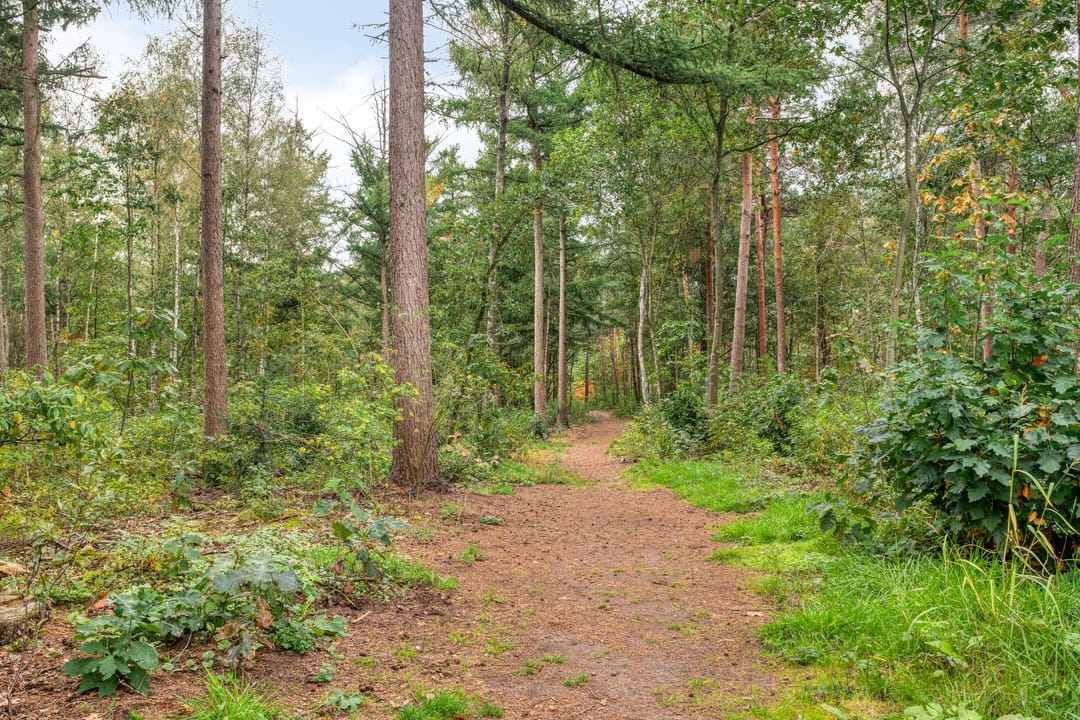 Photo 26 of Enzerinckweg 12-16