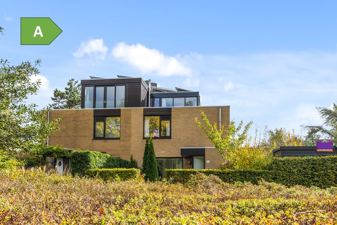 Foto 1 van Tulpentuin 90