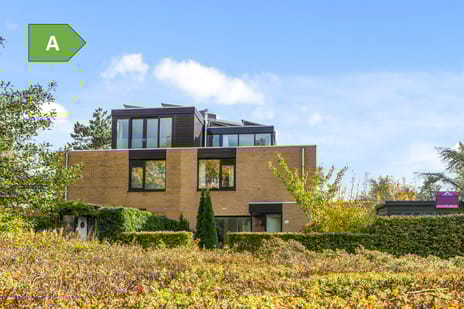 Tulpentuin thumbnail