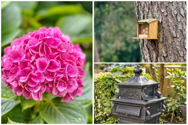 Foto 10 van Julianaweg 30