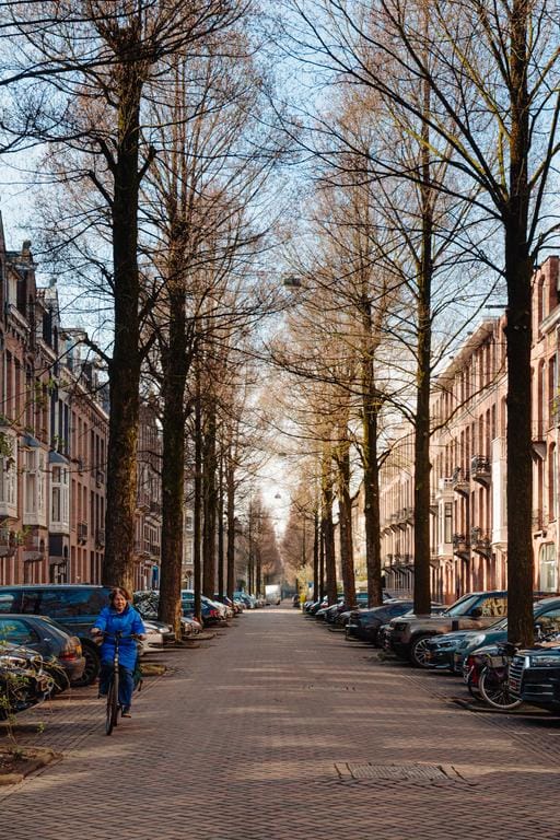 Foto 35 van Johannes Verhulststraat 118-2