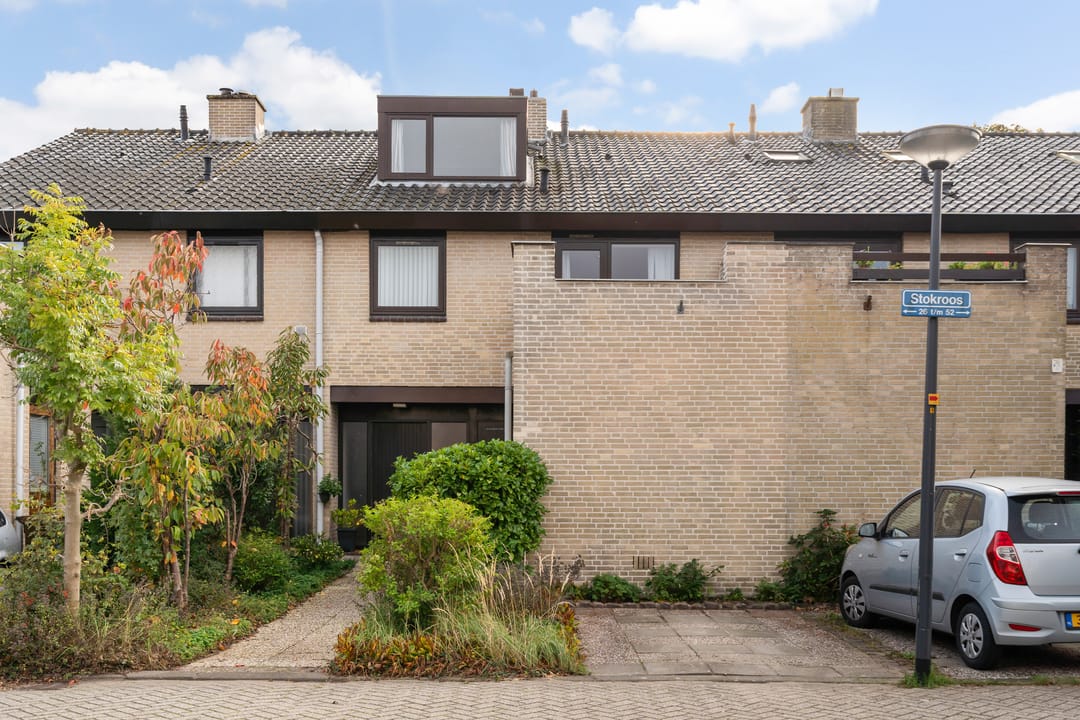 Foto 1 van Stokroos 28