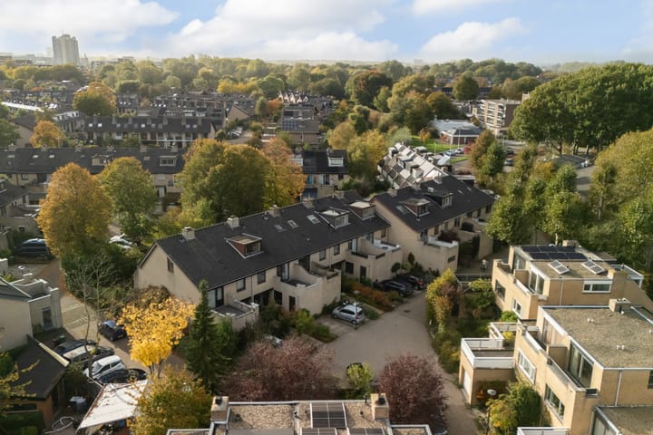 Foto 10 van Stokroos 28