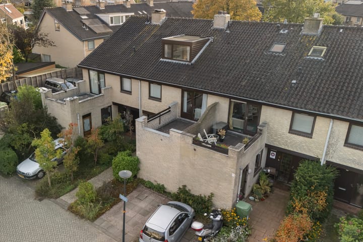 Foto 12 van Stokroos 28