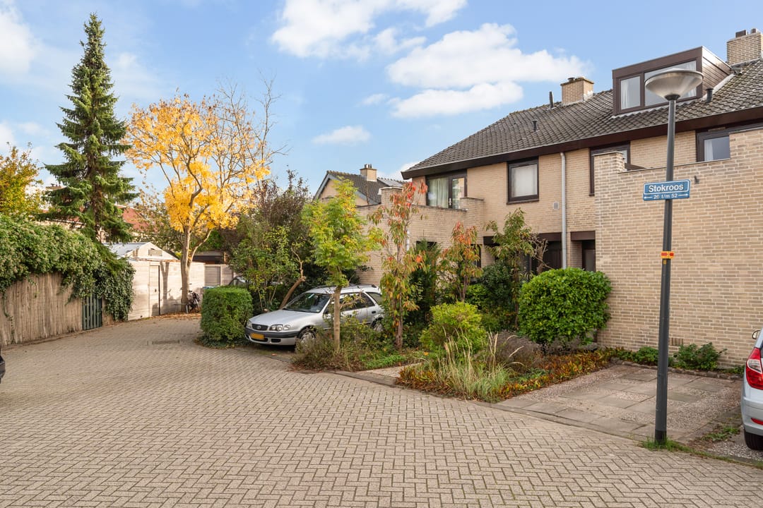 Foto 13 van Stokroos 28