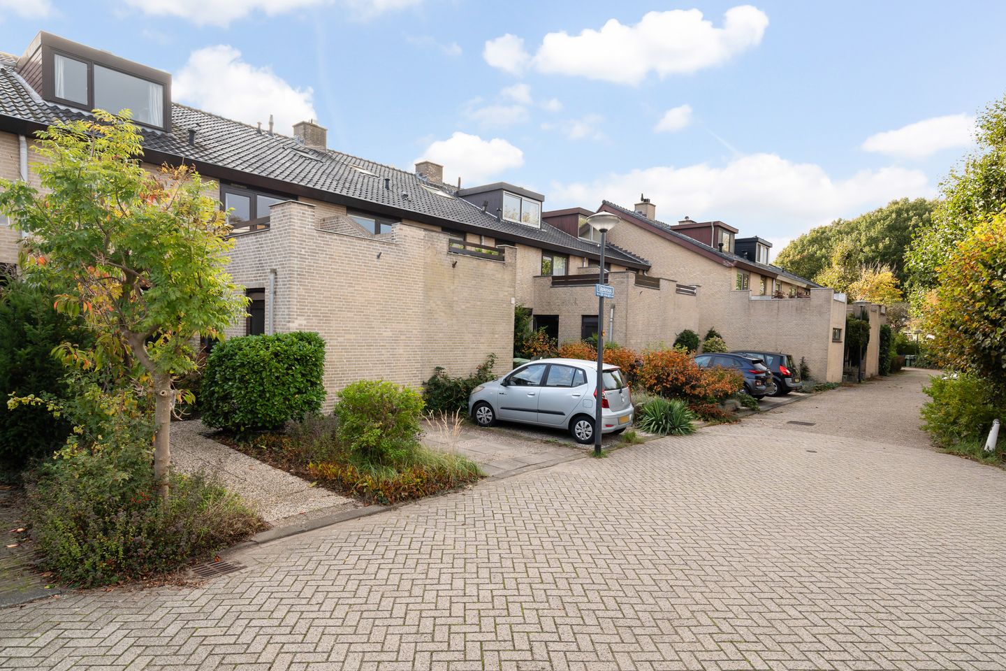 Foto 14 van Stokroos 28