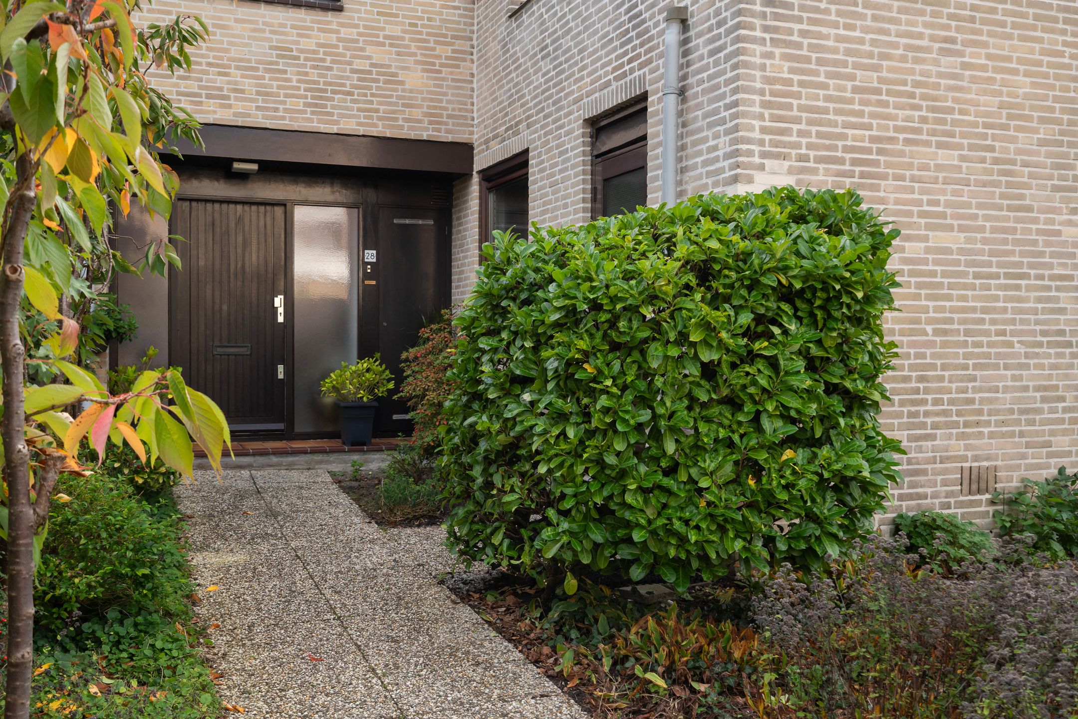 Foto 15 van Stokroos 28