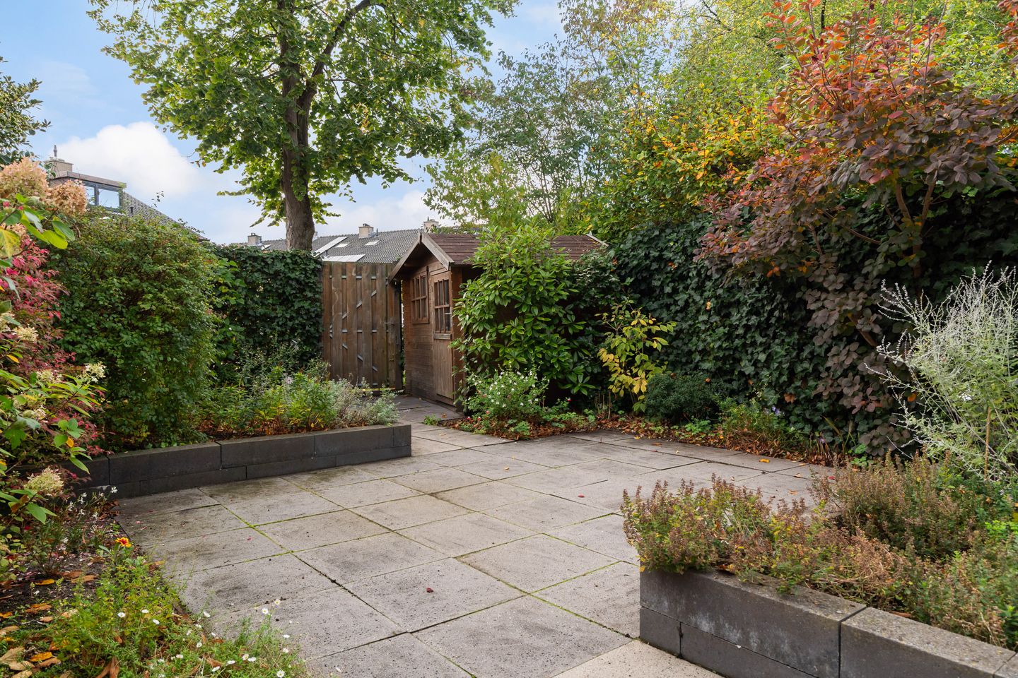 Foto 34 van Stokroos 28