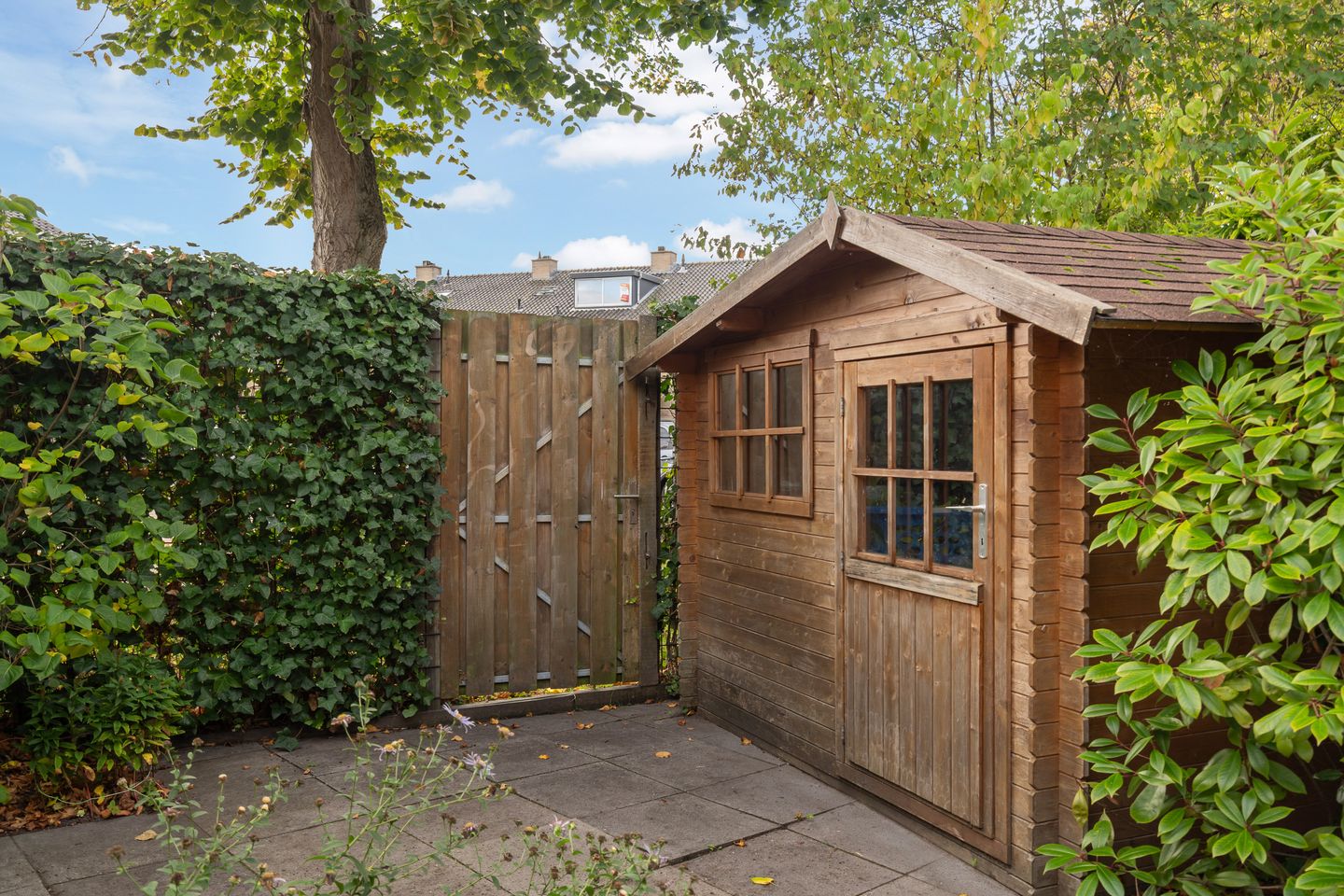 Foto 35 van Stokroos 28