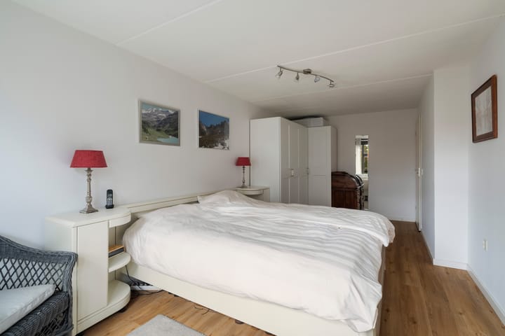 Foto 49 van Stokroos 28