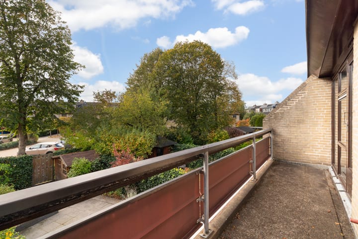 Foto 50 van Stokroos 28