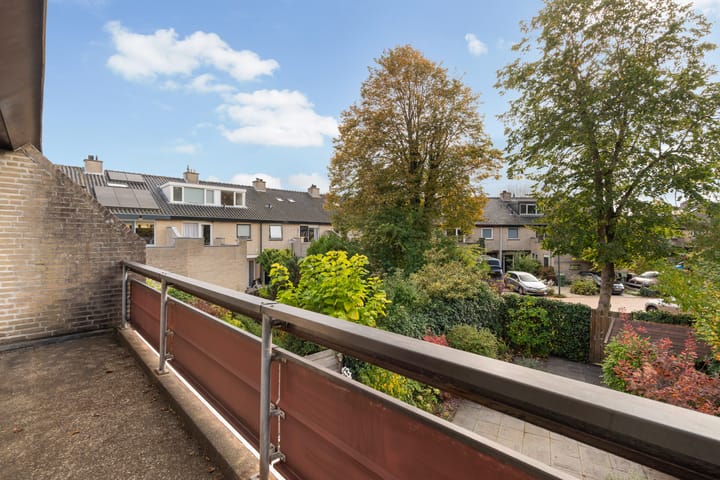 Foto 51 van Stokroos 28