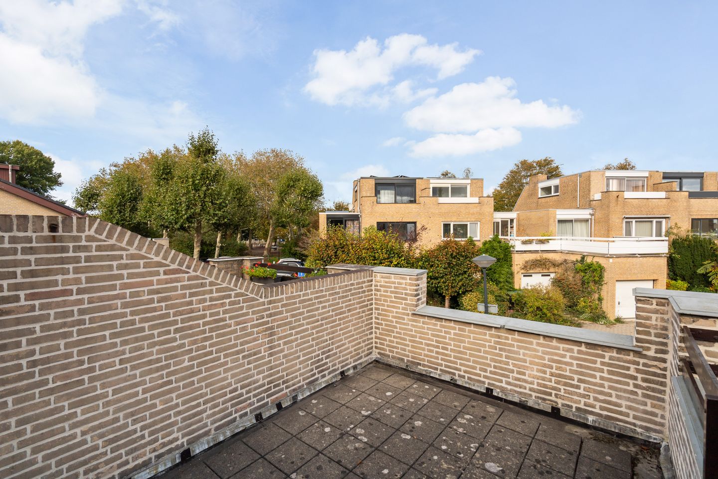 Foto 55 van Stokroos 28