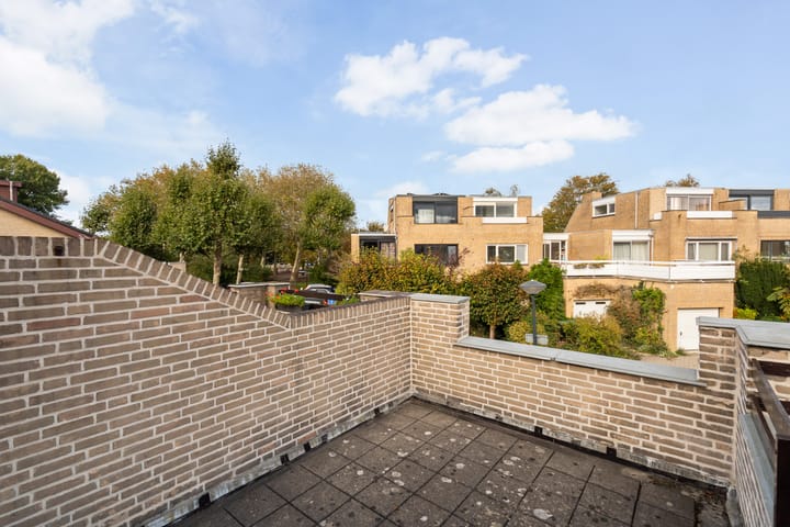 Foto 55 van Stokroos 28