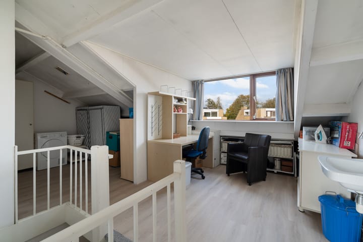 Foto 60 van Stokroos 28