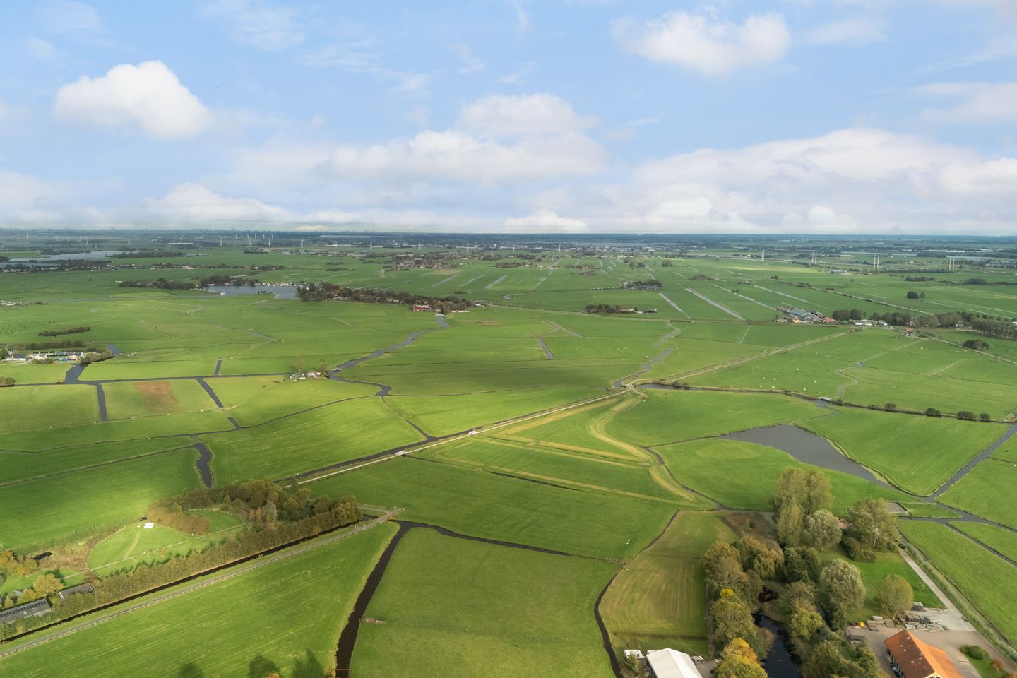 Foto 64 van Stokroos 28