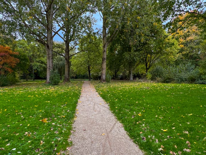 Photo 31 of Heerenmäten 67