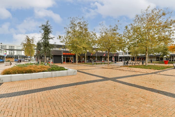 Foto 24 van Plein 1953 180