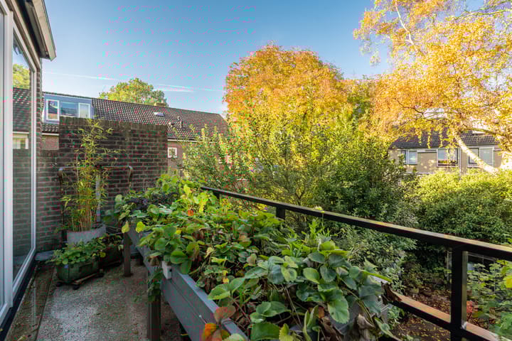 Foto 36 van Turfschip 206