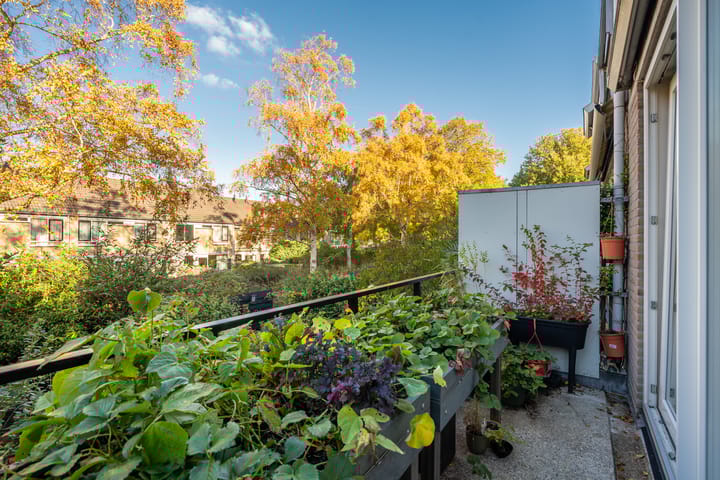 Foto 37 van Turfschip 206