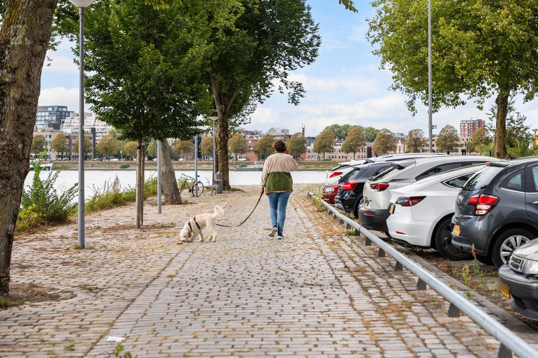 Photo 43 of Nijverheidstraat 32-C