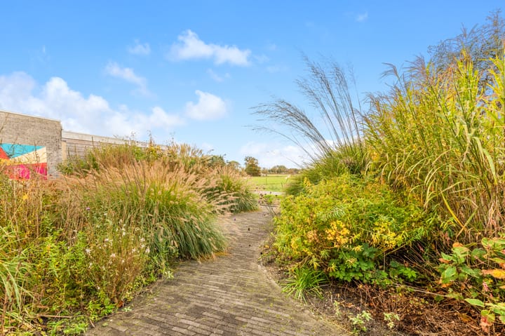 Photo 37 of De Herderin 50