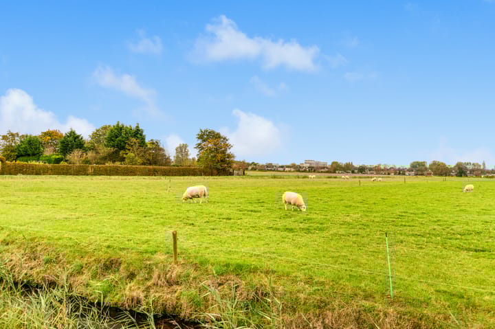 Photo 40 of De Herderin 50