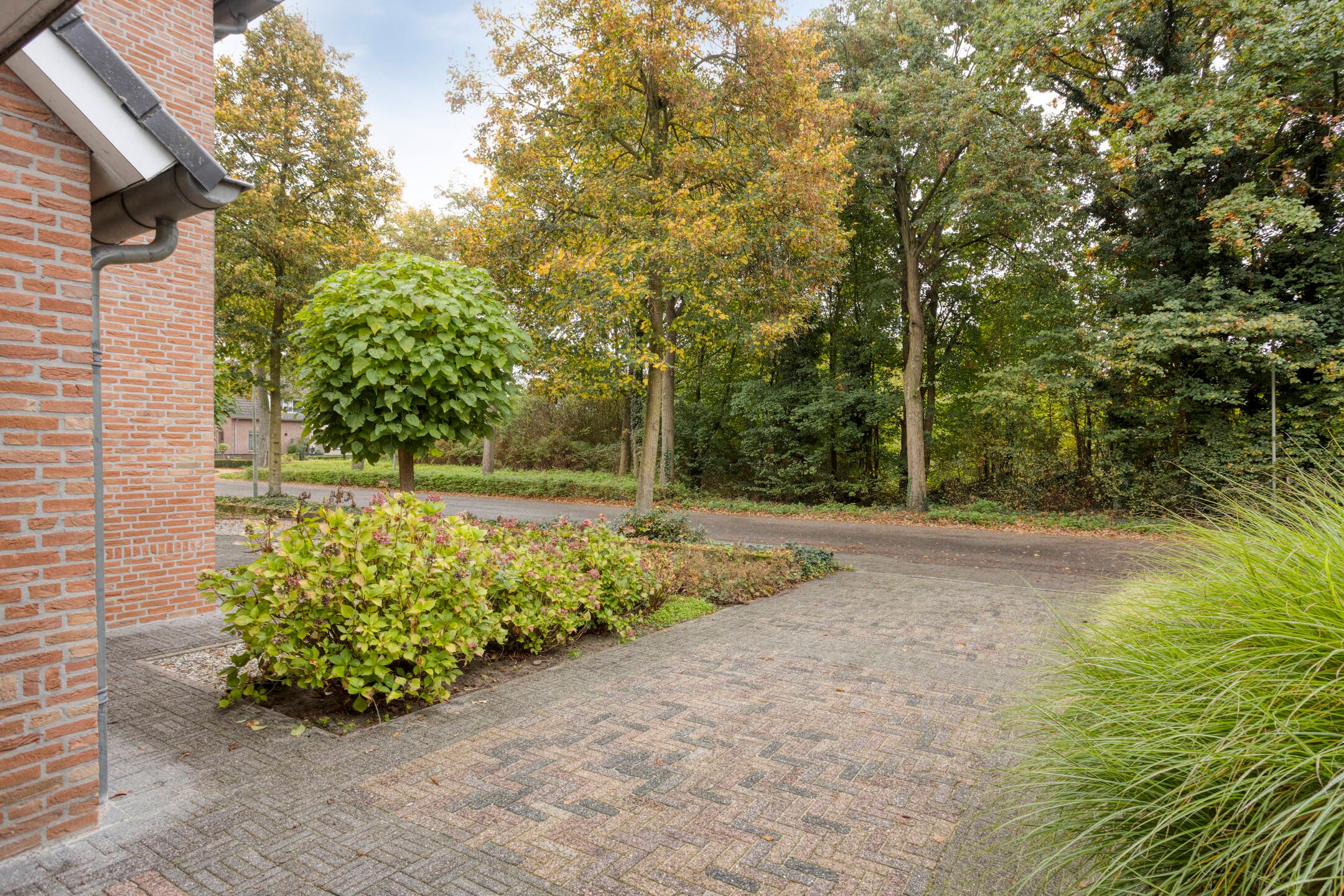 Foto 42 van Maasweg 47-A