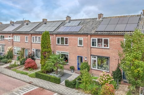 undefined main image