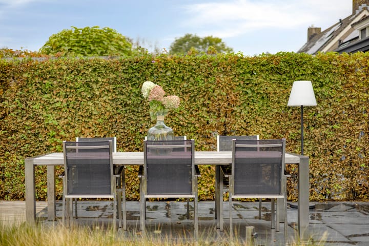 Foto 50 van De Lint 109