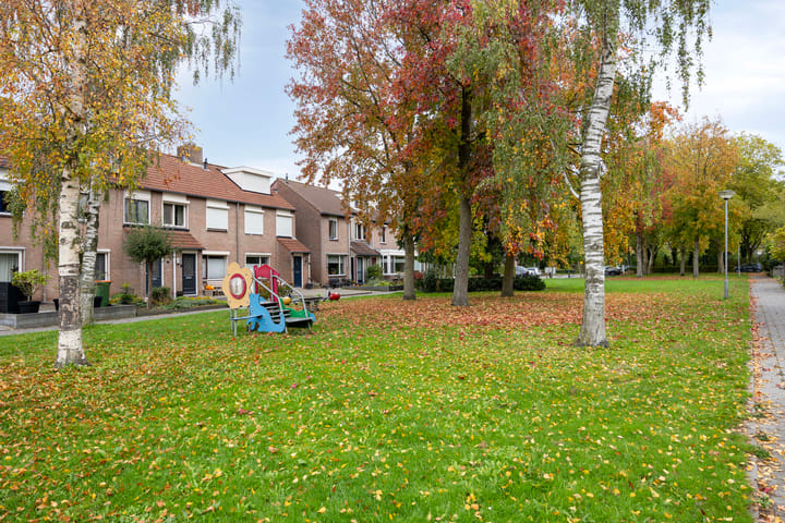 Foto 63 van De Lint 109