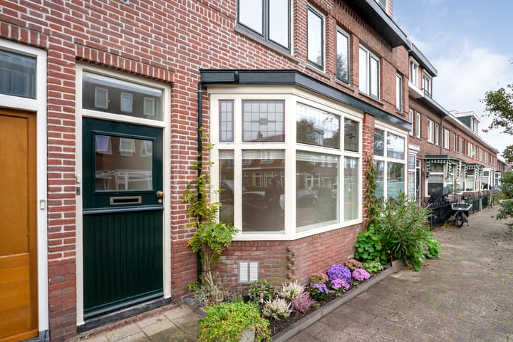 Foto 5 van Karel van Manderstraat 108