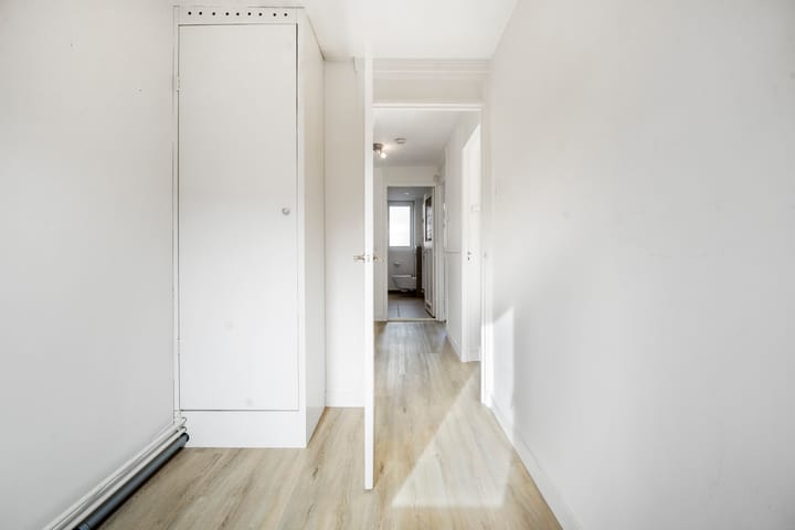 Foto 25 van Karel van Manderstraat 108