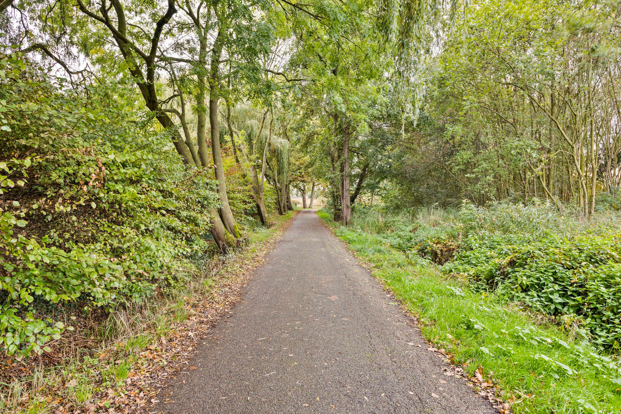 Foto 36 van Beckershagen 52