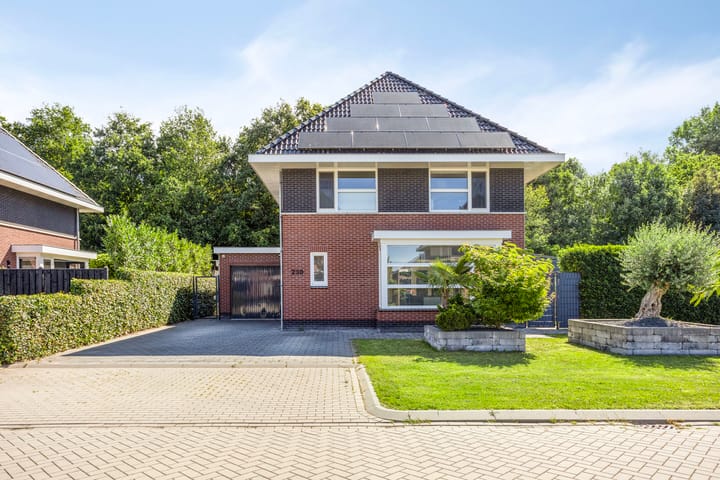 Foto 3 van Albatroslaan 230