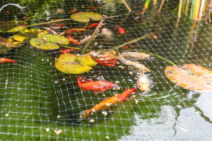 Foto 20 van Van Langendonckstraat 35