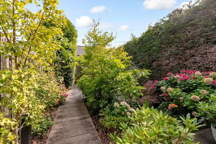 Foto 61 van Matho Tongastraat 39